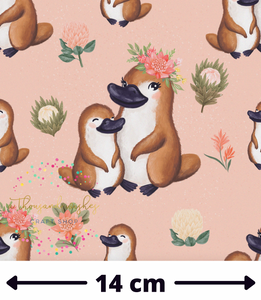 ***PRE-ORDER*** MAMA & ME PLATYPUS - Regular Scale