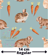 [CATE & RAINN] BUNNIES & CARROTS BLUE - Bunnies Collection